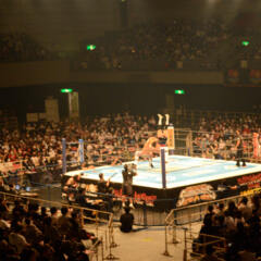 プロレス観戦の話